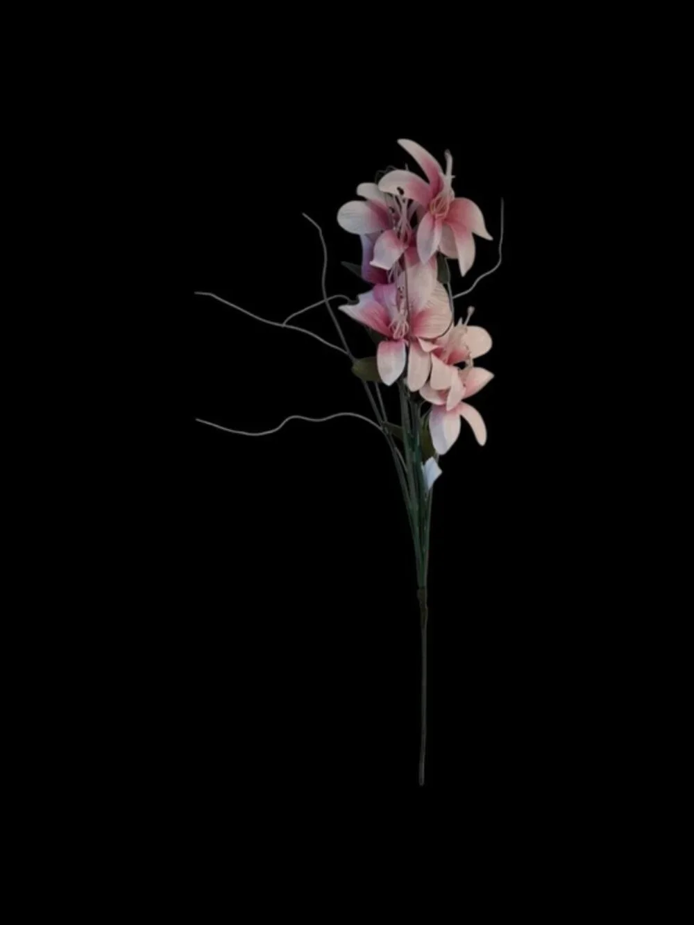 FIGLIOLINI S.R.L. elegant pink